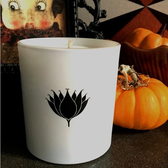 VEGAN SOY WOLFGANG & ISABELLA CANDLE - CHOOSE YOUR SCENT- BURNS FOR 70+ HOURS - Picture 5 of 6